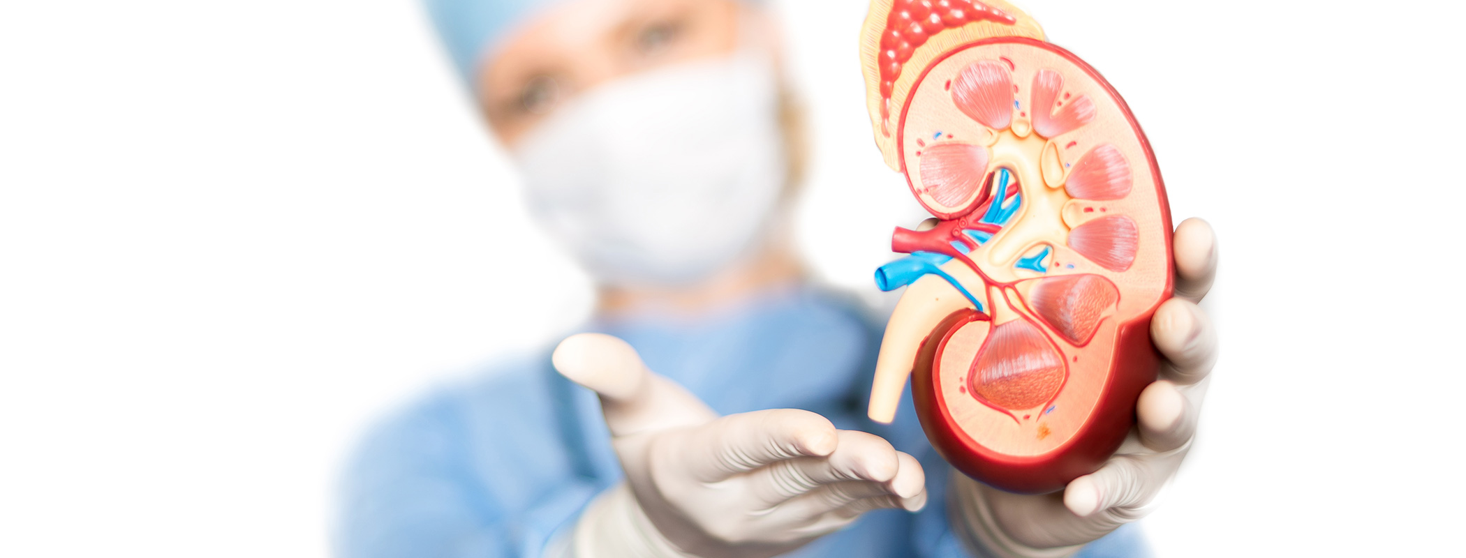 Medical Malpractice Insurance For Urology Pri 